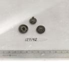 Click for 7 image(s) for this accession. FRUIT